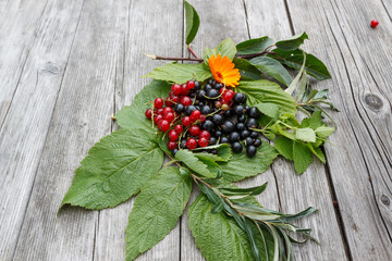 current with leaves and flowers on rustic wooden table