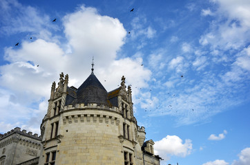 Fototapeta na wymiar Pigeons flying around a Castle Tower