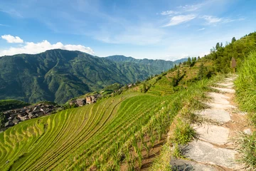 Wandcirkels plexiglas Longsheng rijstterrassen guilin china landschap © Juhku