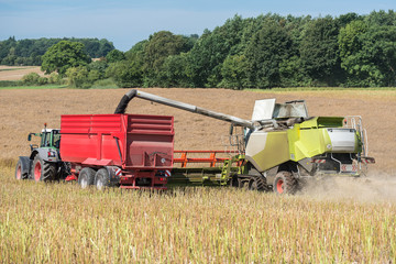 Obraz premium Agricultural engineering at the rape harvest - 2211