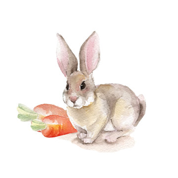 Rabbit and carrots. Watercolor illustration