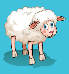 Cute sheep on blue
