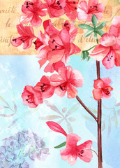 Vintage background texture with watercolour branch of pink flowers