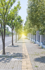 sidewalk