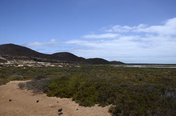 Isla de Los Lobos