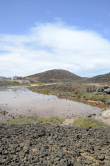 Isla de Los Lobos