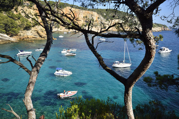 Les calanques