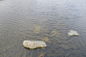 Северная природа