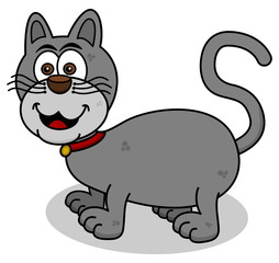 a smiling cat on profile
