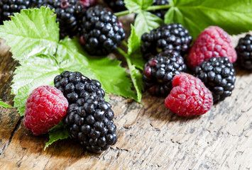 Fresh ripe raspberries and blackberry with large leaves on the o