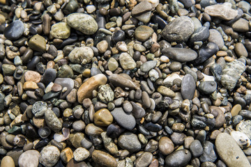 Sea stones