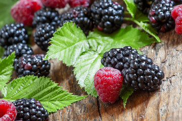Fresh ripe raspberries and blackberry with large leaves on the o