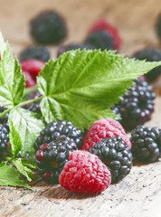 Fresh ripe raspberries and blackberry with large leaves on the o