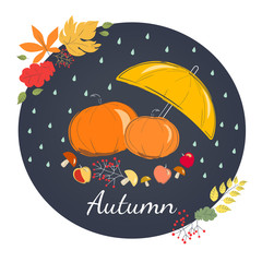 Rainy autumn with yellow umbrella