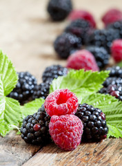 Fresh ripe raspberries and blackberry with large leaves on the o