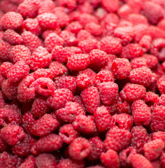 raspberry