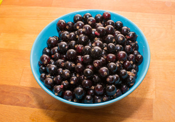 currant