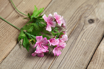 Summer flower lying on the wooden table background