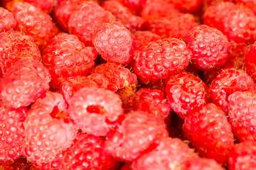 raspberry