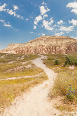 beautiful summer landscape, the valley and the mountains on blue