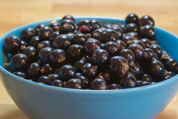 currant