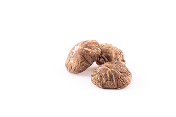 Shiitake mushroom on the White background.
