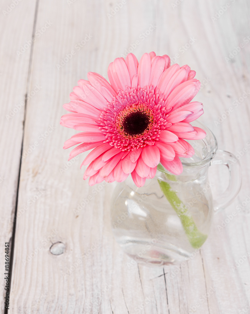 Canvas Prints Flower pink gerbera in a glass vase