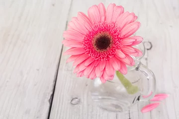 Tableaux ronds sur aluminium Gerbera Gerbera rose fleur dans un vase