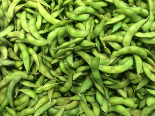 Soya bean