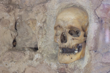  Human skulls wall