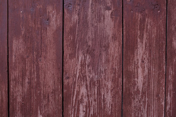 Naklejka premium The wood