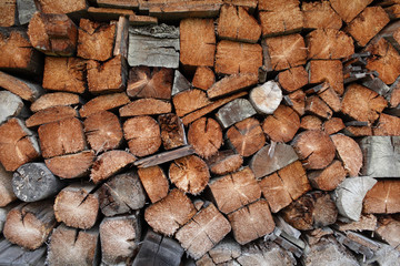 The wood and firewood
