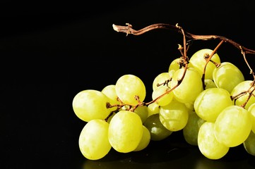 uva bianca