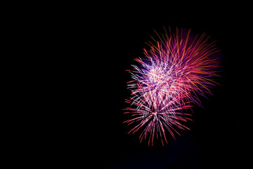firework isolated on black background, sumida river firework fes
