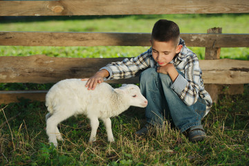 boy with lamb on the farm