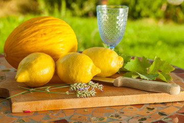 Zitronen und Melonen