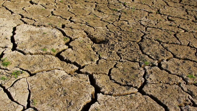 Dry cracked earth during drought