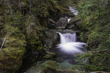 Fototapeta premium Cedar Creek Waterfall in the Opal Creek Wilderness area