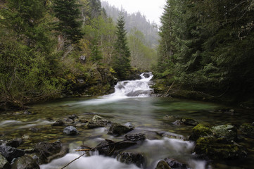 Fototapeta premium Cedar Creek Waterfall in the Opal Creek Wilderness area