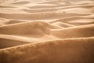 Fototapeta na wymiar Sand dunes in Dubai desert