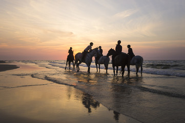 Jeźdźcy na koniach jadący brzegiem morza o zachodzie słońca - obrazy, fototapety, plakaty