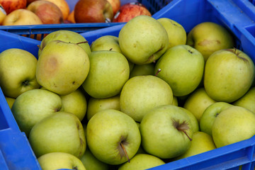 apple group from marketplace