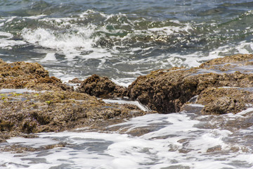 Sea wave hit the rock