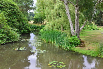A pond at a country estate in Kent at the height of summer in England.