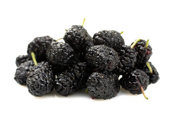 isolate, mulberry