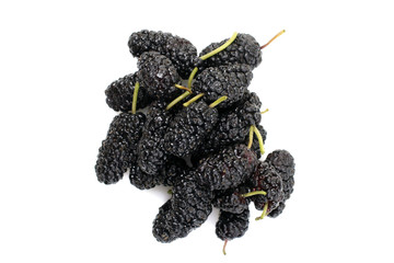 isolate, mulberry