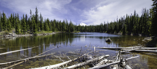 Head Lake With Mount Jefferson, Western Oregon