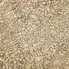 Texture cracked earth