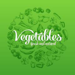 Hand drawn vector illustration with vegetables. 