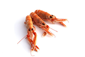 Langoustes